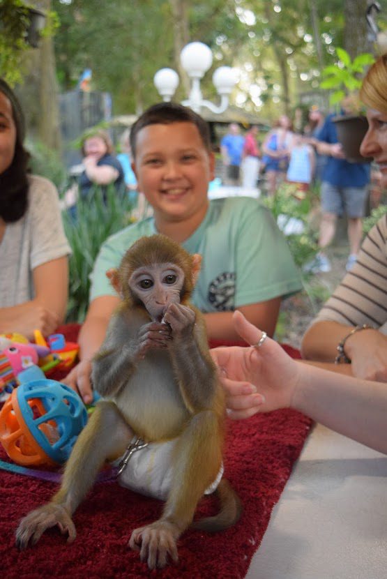 my son with a baby monkey