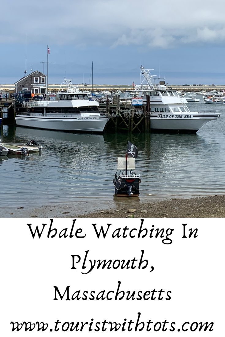 Read more about the article A Whale Of A Time In Plymouth, Massachusetts