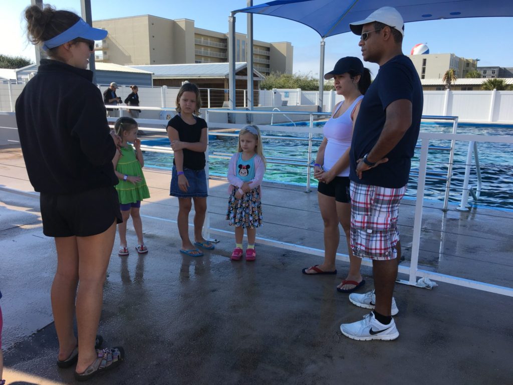 getting information on conservation from the Gulfarium vet in Fort Walton Beach, Florida