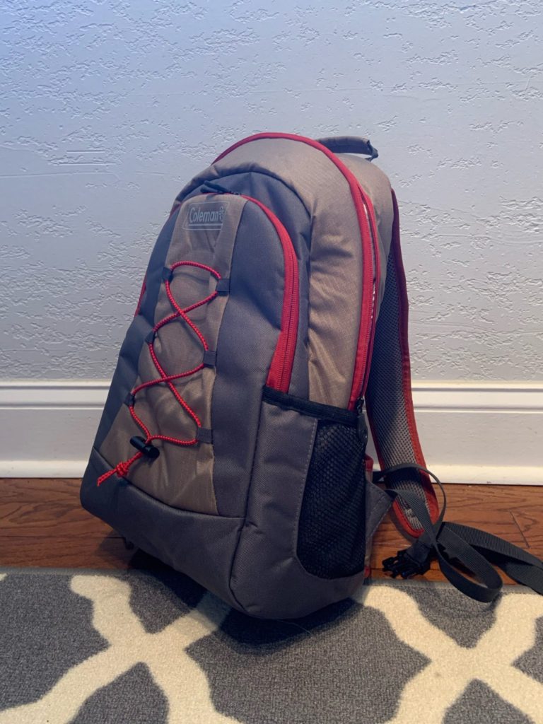 Save money by bringing in your own food in a backpack cooler