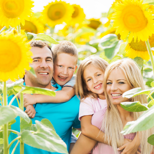 Family in sunflower field in Miami