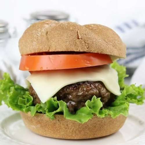 Oven baked venison burger