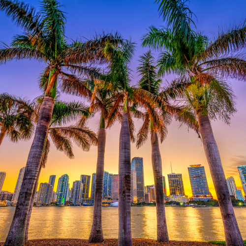 Miami Florida skyline for Florida Instagram Quotes