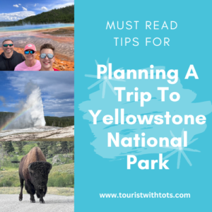 Read more about the article Ultimate Guide to Planning a Trip to Yellowstone National Park